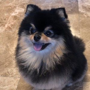 Meet your Posher, Zoe